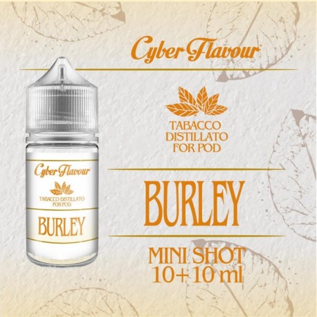 Cyber Flavour BURLEY 10ml